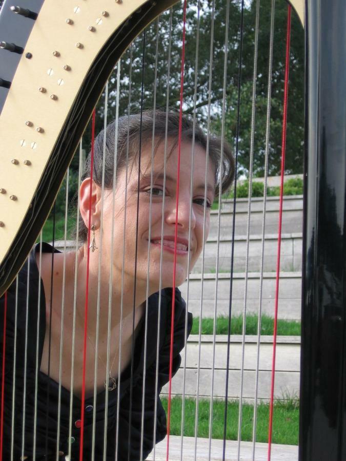 La Chambre Du Harpiste Vallons-de-l'Erdre Eksteriør bilde